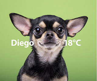 Daikin_Smile Kampagne_Diego.jpg